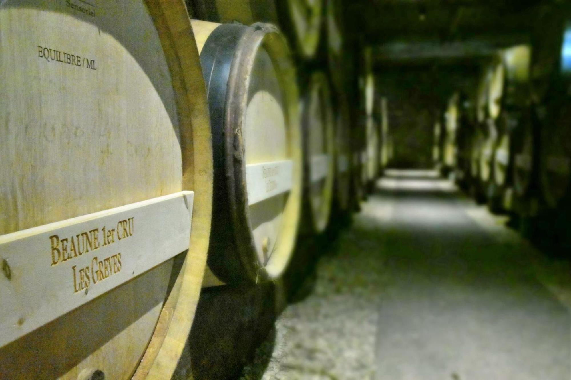 Les Chambres Du Foulot Beaune  Esterno foto